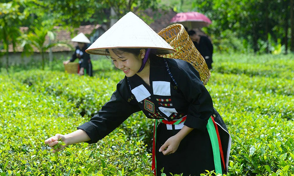  Khi nào miền Bắc xuất hiện nắng ấm?